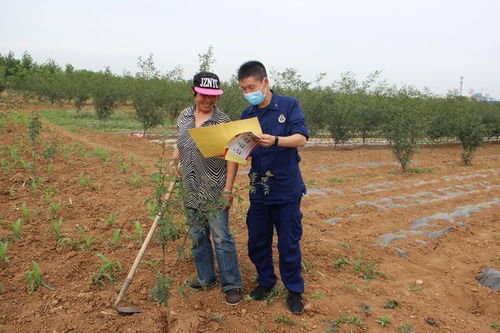 三門峽消防提醒 平安麥?zhǔn)?勿忘防火